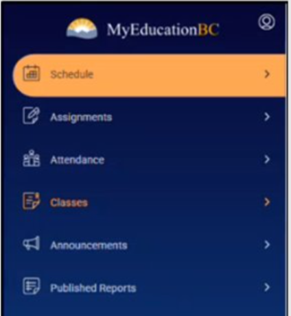 Picture of MyEd Parent Portal Home Screen